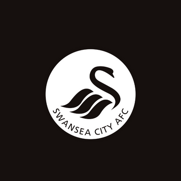 Swansea Ciudad AFC