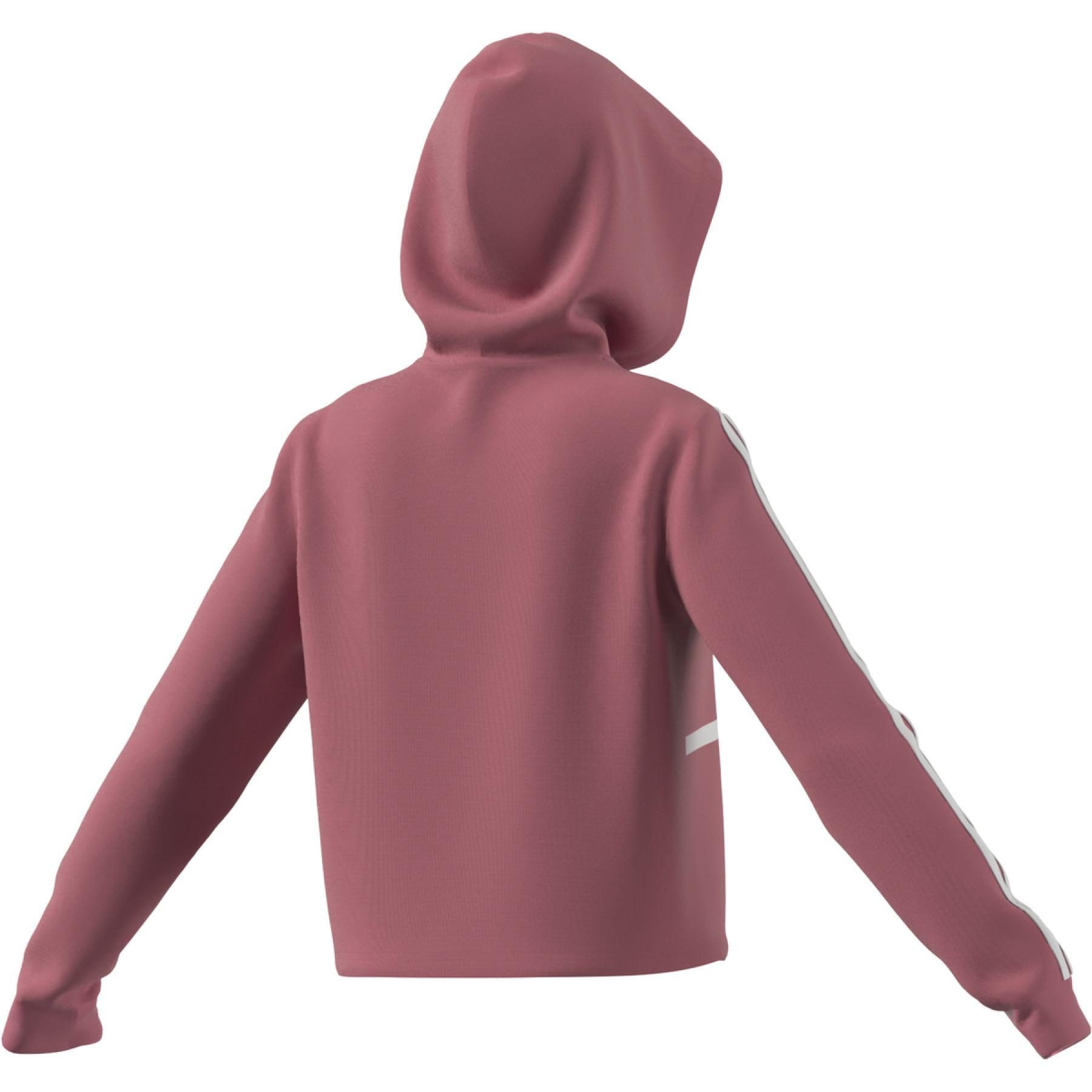 Sudadera corta con capucha para mujer adidas Essentials Logo Colorblock Fleece