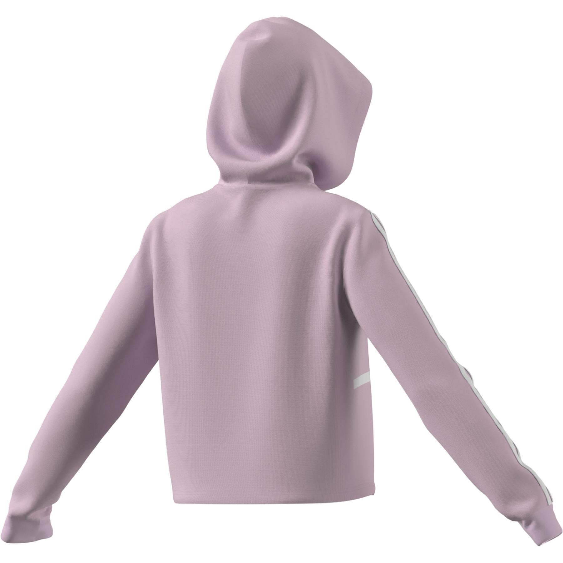 Sudadera corta con capucha para mujer adidas Essentials Logo Colorblock Fleece