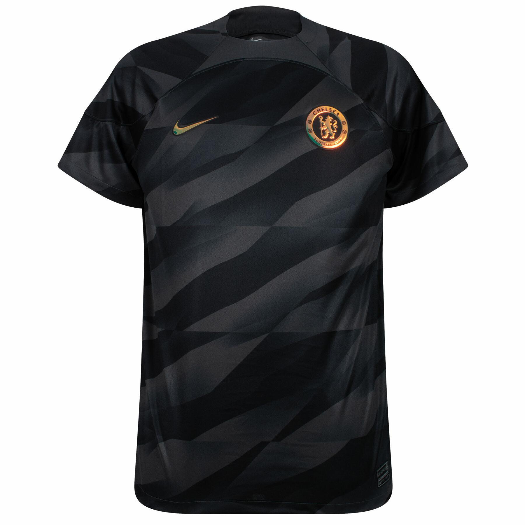 Camiseta de portero dri-fit Chelsea Stadium 2023/24
