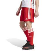 Pantalones cortos a domicilio Bayern Munich 2023/24