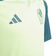 Camiseta de entrenamiento infantil México Tiro Copa América 2024