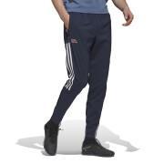 pantalones de entrenamiento fc Bayern Munich 2022/23