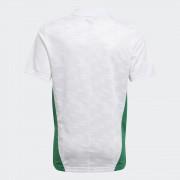 Camiseta primera equipación infantil Algérie 2020/21