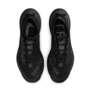 Zapatos Nike Pegasus Trail 3 Gore-Tex