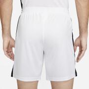 Pantalón corto Nike Dri-FIT Academy 2023 BR