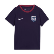 Camiseta Angleterre Academy Pro Euro 2024