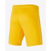 Pantalones cortos de portero para niños Liverpool FC Dri-Fit Stadium